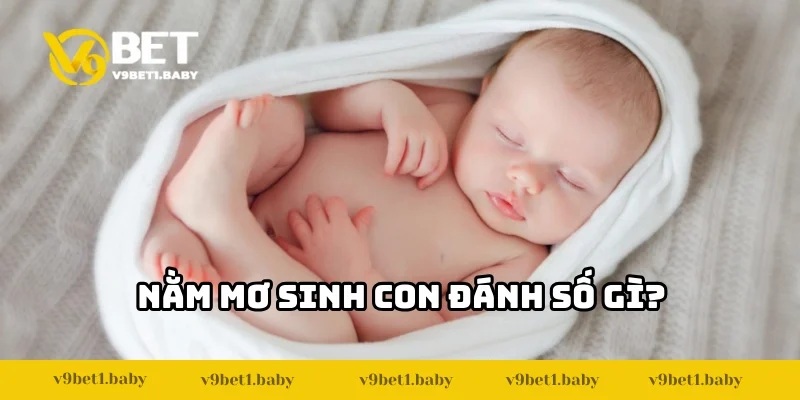 Bí kíp bắt số cực chuẩn tại V9BET khi nằm mơ sinh con