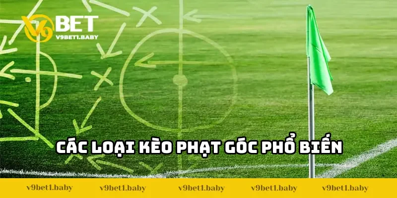 Các loại kèo góc phổ biến nhất trong cược bóng đá