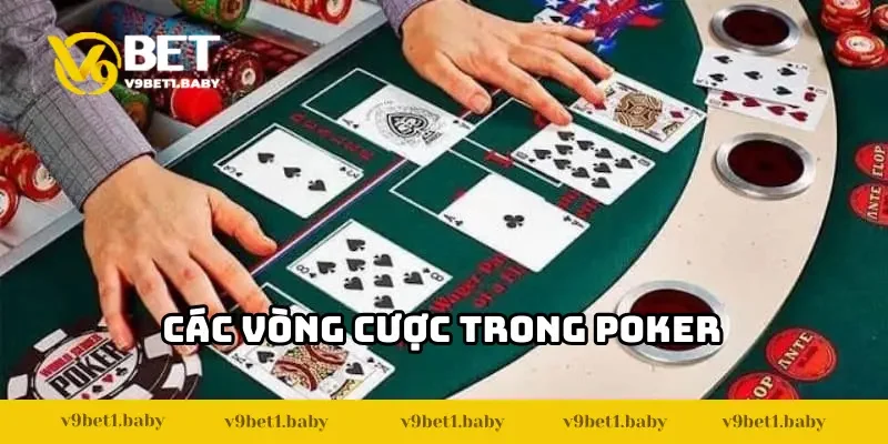 Các vòng cá cược cơ bản trong game poker