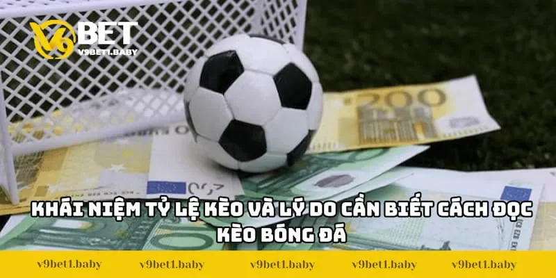 Khái niệm tỷ lệ kèo và lý do cần biết cách đọc kèo bóng đá