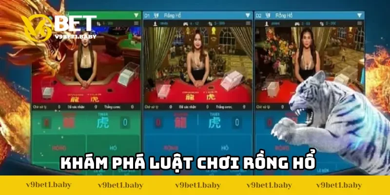 Luật chơi bài Rồng Hổ chi tiết, dễ hiểu cho tân thủ