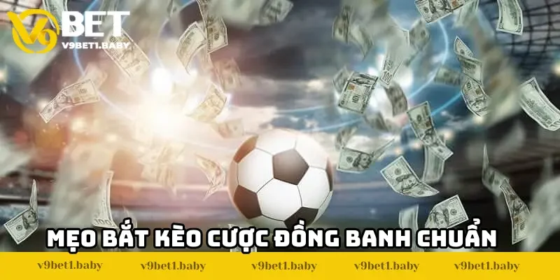 Mẹo bắt kèo cược đồng banh chuẩn